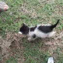 산밭골횟집 이미지