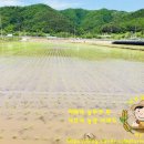 양기농장 이미지