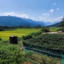 숲 휴게소 이미지