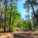 강릉 노추산 힐링캠프 이미지