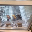 그랩커피(Grab coffee) | [부산 서면] 롯데백화점 근처 수제두유 카페 ‘GRAB COFFEE’