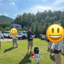 딸기밭 부농 | 대구 근교 영천 아이랑 가볼만 한 곳:) 캠프닉🏕️신덕리 956/ 신덕리 콩콩팥팥