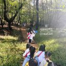 삼성하늘숲어린이집 | 안양 만안구 새봄어린이집 | 명학공원 숲교육 미리체험 (3세 부모참여수업 후기)