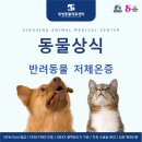 씽씽 동물의료센터 이미지