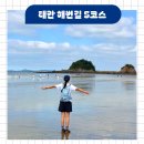밧개회수산 | 충남 태안 해변길 노을길 5코스 트레킹 가볼만한곳 추천