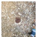 만월쉼터 이미지