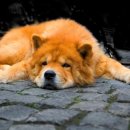 미용커트 이미지