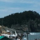 볼무섬 네이버블로그