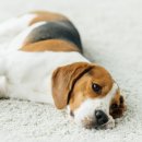 송산유치원 이미지