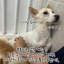 푸름이의 시간은 천천히 간다! 이미지