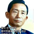 [대한신보] 이미지