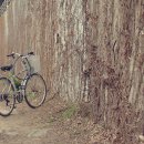 GS25수원화홍점 이미지