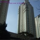 수원-1353 네이버블로그