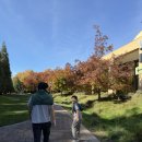 피어26(PIER26) | 스탠퍼드 대학교 캠퍼스 투어 완벽 가이드｜캠퍼스 2~3시간 코스 총정리