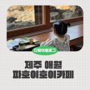 카페 돌스 | 제주 파호이호이 라바필드 파크 내 카페 :: 말차라떼, 죽간, 돌스탬핑