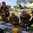 꿀벌나라테마공원 이미지