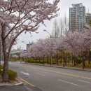 해운대구문화복합센터 이미지