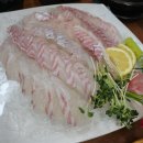 회뜨는수산 이미지