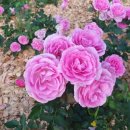 올림픽공원역3번출구 이미지