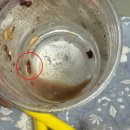 커피한조각 이미지