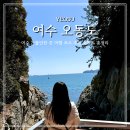 바다와하얀등대 | [공지] 여수 오동도 가는방법 동백열차 시간 바람골 등대 여행코스 추천