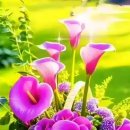 추석명절연휴기간의 화두=불법선거와 행정소송 국민소송화. 국민필독서 이미지