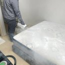 서비스케어 | [부산 침대케어] 코웨이 매트리스 7단계 케어 서비스 솔직후기