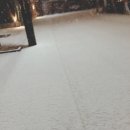 공주-72 Daum카페