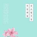 시에게 가는 길 이미지