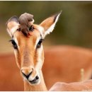 부동산전문행정사사무소 이미지