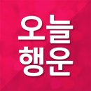 행운소돼지