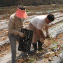 호성농장 이미지