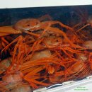 한나루 | 구룡포식당 포항 구룡포 홍게 무한리필, 한나루수산 후기