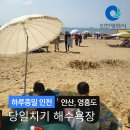 장경리해변 야영장 | 서울 근교 바다 추천 당일치기 다녀오기 좋은 해수욕장
