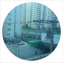 베니키아 호텔 카카오 이미지