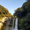 국토보상 행정사 사무소 이미지