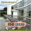 (주)포레나무병원 | 대전 근교 베이커리 카페 옥천 포레포라 방문후기