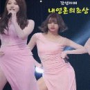 [트로트 메들리] 뽕짝 팔도 카바레 대국민 디스코 메들리 이미지