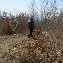 정자나루 이미지