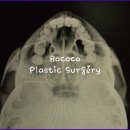 로코코성형외과의원 이미지