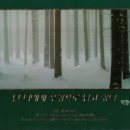 갈대숲 소리, 플룻 이미지