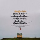 (주)모으리 이미지