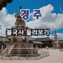 신라투어 | 경주 초등역사체험 추천! 불국사 가족동반 원데이 신라역사 도슨트 투어 후기