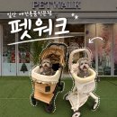 공원펫 | 일산 강아지 유모차 일산호수공원 애견용품 전문점 로얄테일즈 유모차 시승 후기 펫워크