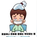 해모로약국 이미지