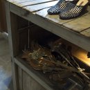 페르마타(fermata) 이미지