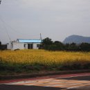 슬로우맨션 이미지