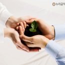 설립누리 행정사사무소 이미지