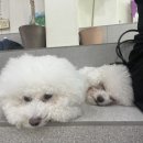 SUNNYNE 이미지