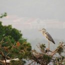 신북초교 이미지